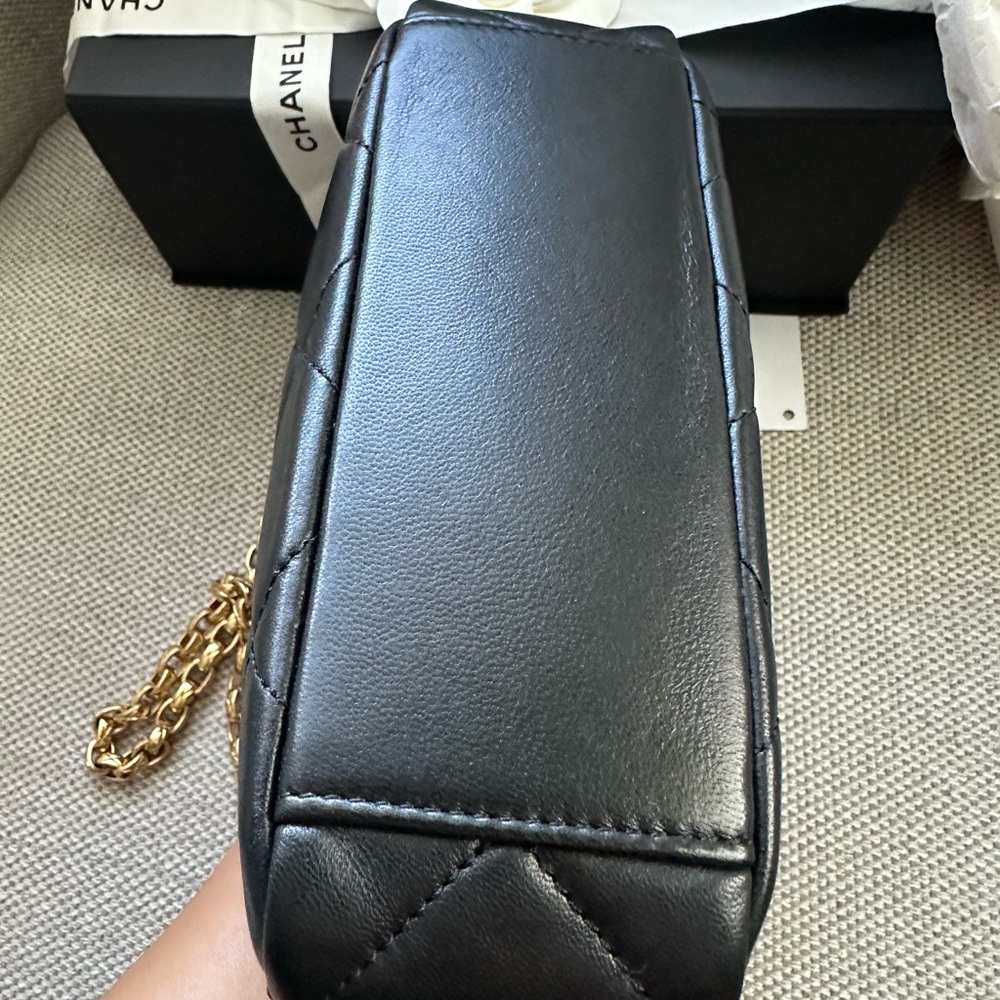 Chanel Camera Case - Picture 9 of 16